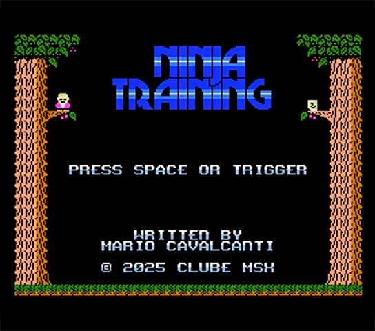 Ninja Training